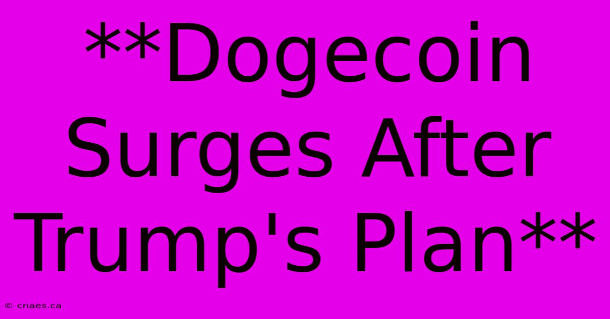 **Dogecoin Surges After Trump's Plan**