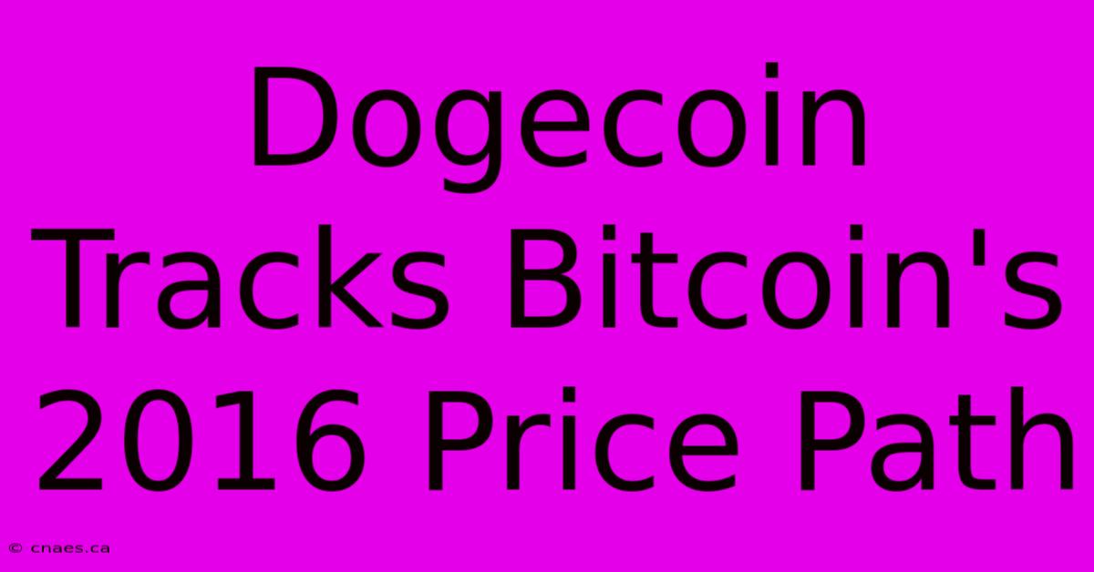 Dogecoin Tracks Bitcoin's 2016 Price Path