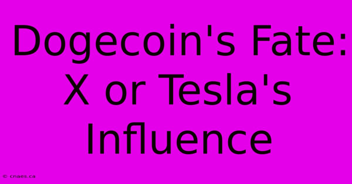 Dogecoin's Fate: X Or Tesla's Influence