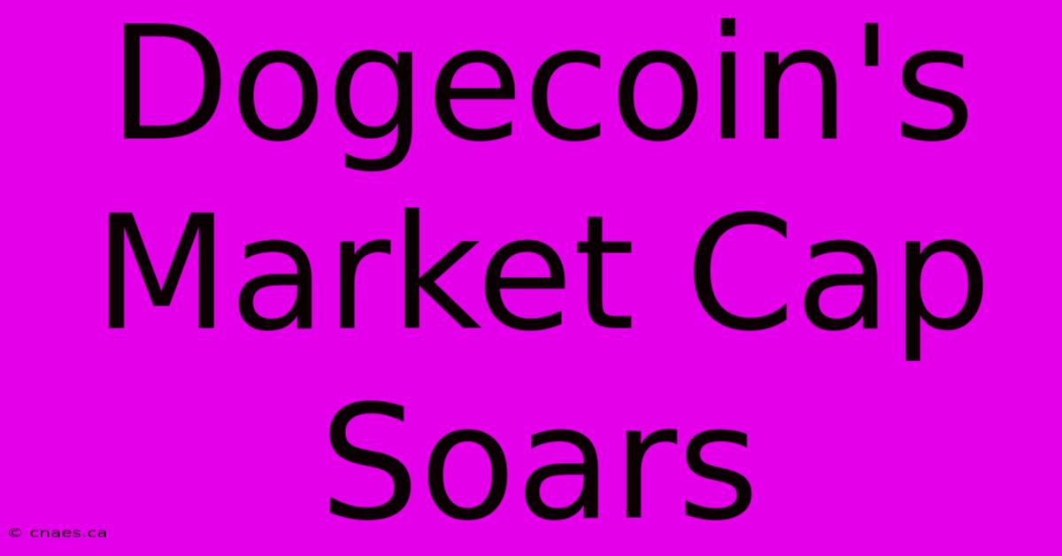 Dogecoin's Market Cap Soars