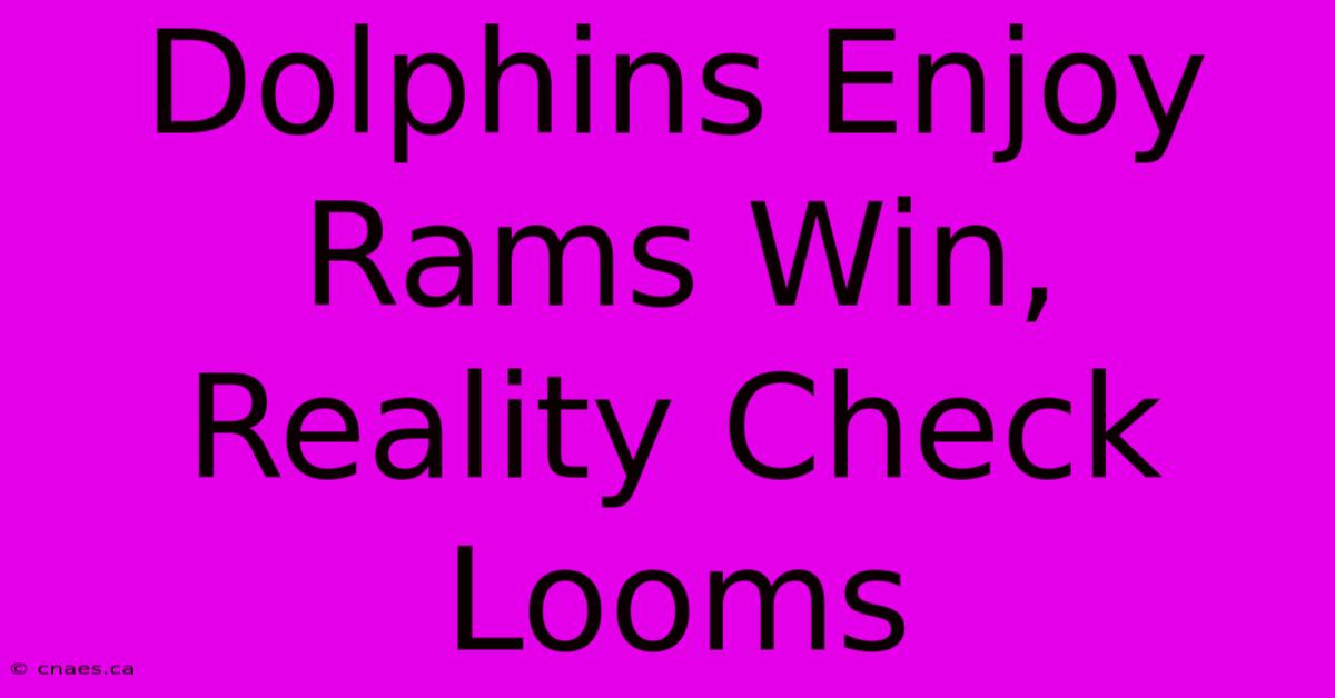 Dolphins Enjoy Rams Win, Reality Check Looms