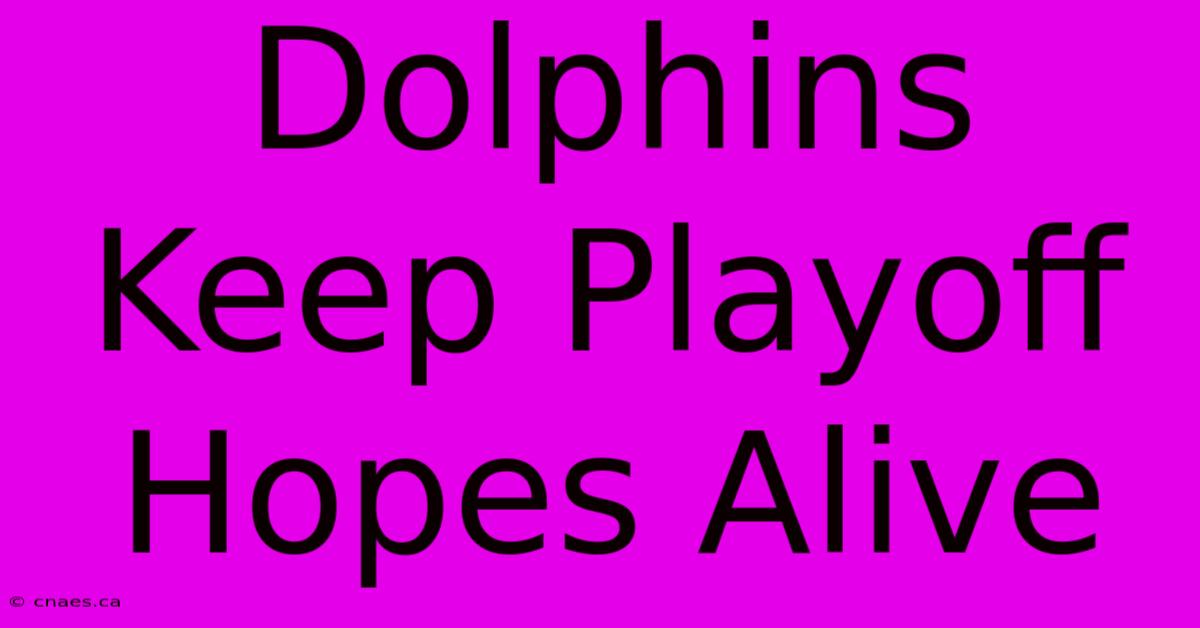 Dolphins Keep Playoff Hopes Alive