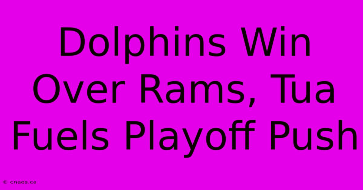 Dolphins Win Over Rams, Tua Fuels Playoff Push