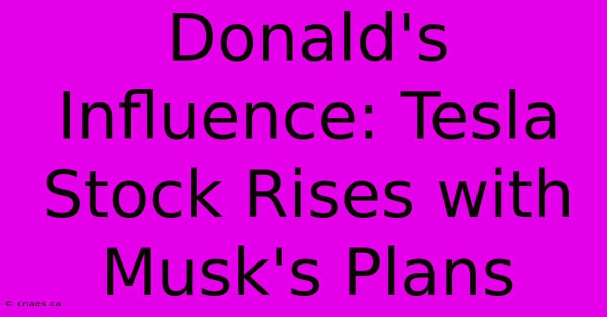 Donald's Influence: Tesla Stock Rises With Musk's Plans