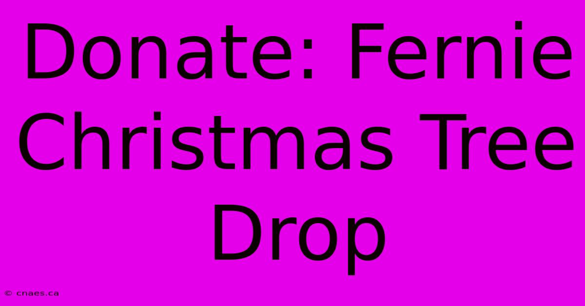 Donate: Fernie Christmas Tree Drop