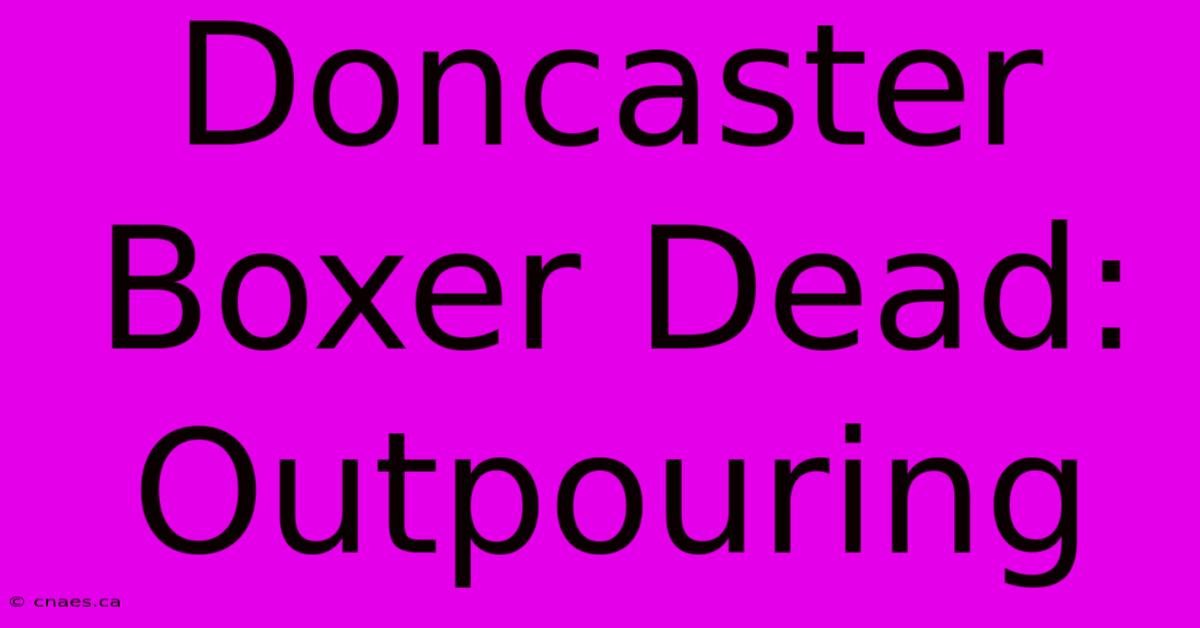 Doncaster Boxer Dead: Outpouring