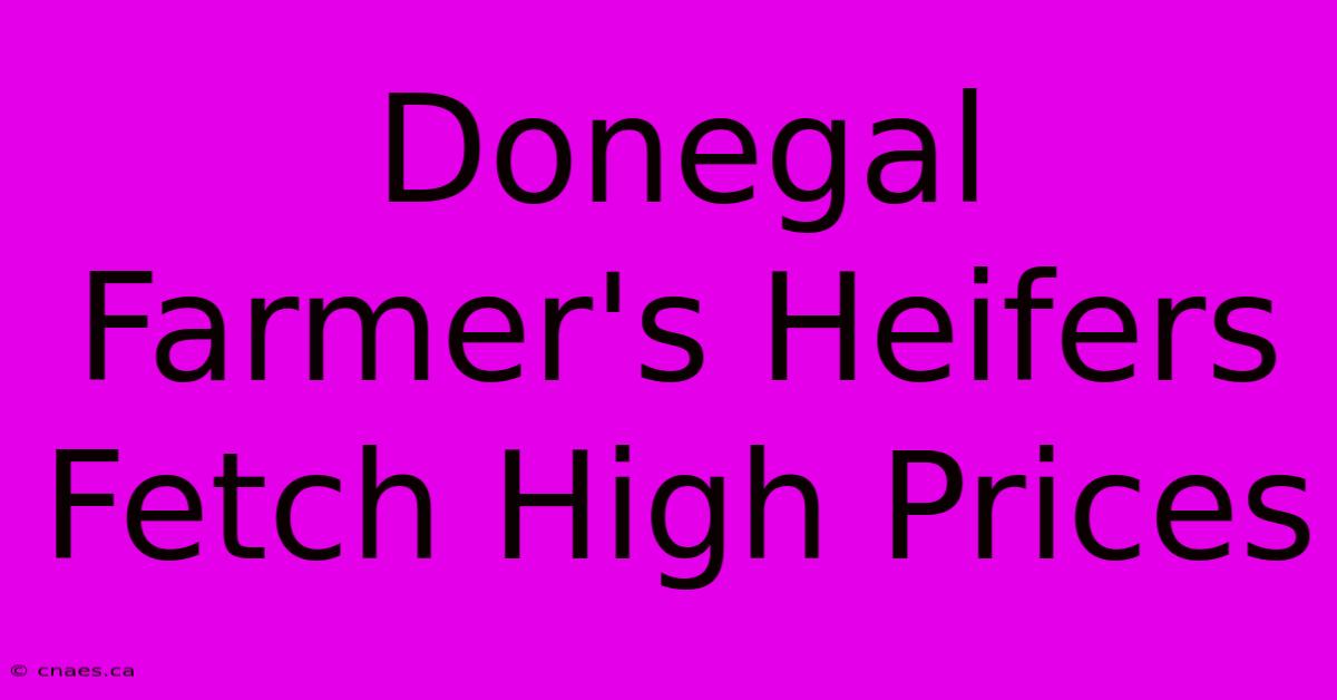 Donegal Farmer's Heifers Fetch High Prices