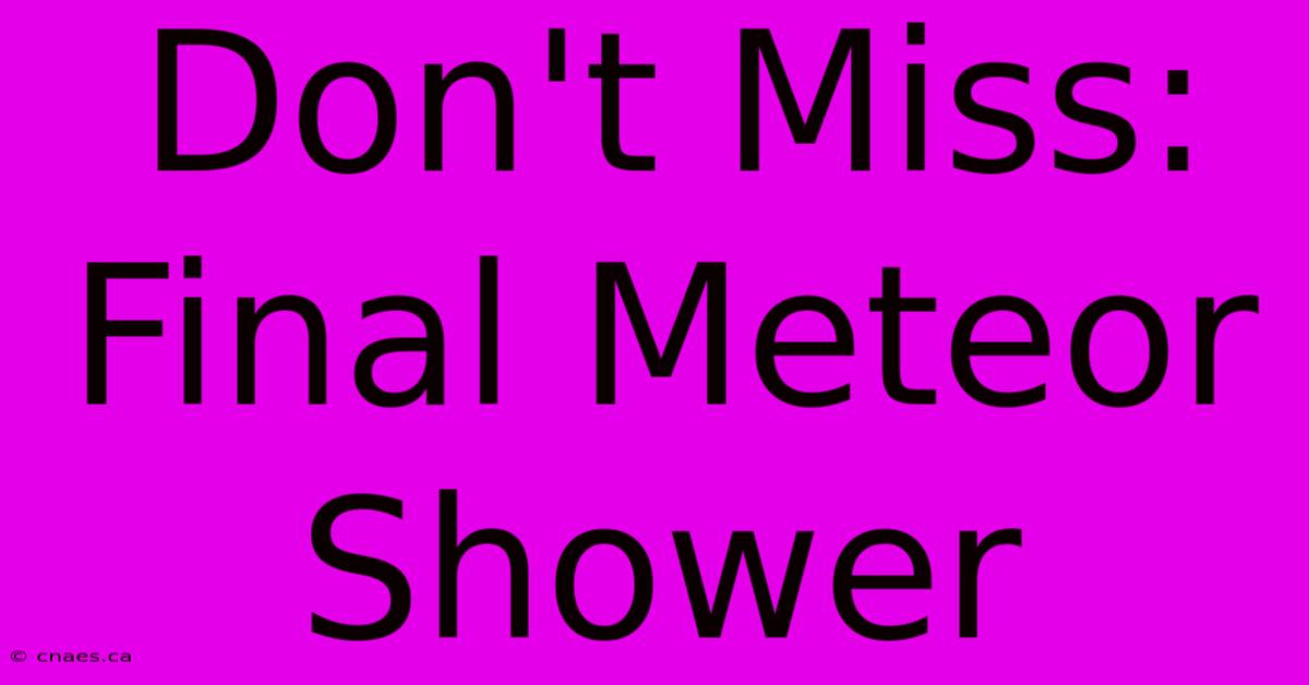 Don't Miss: Final Meteor Shower