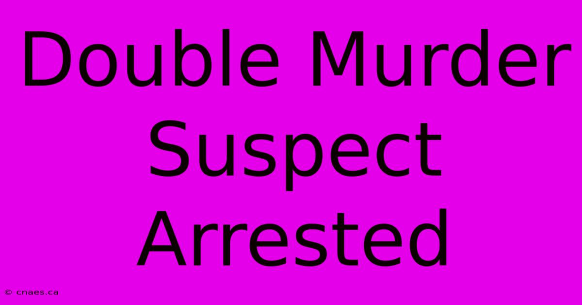 Double Murder Suspect Arrested