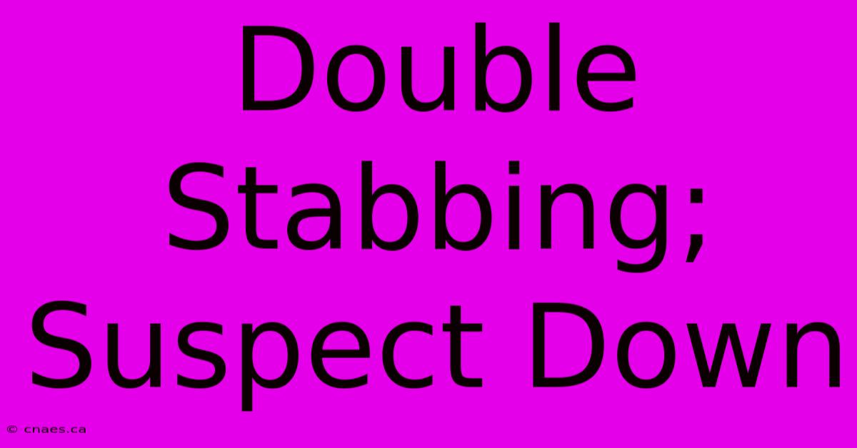 Double Stabbing; Suspect Down