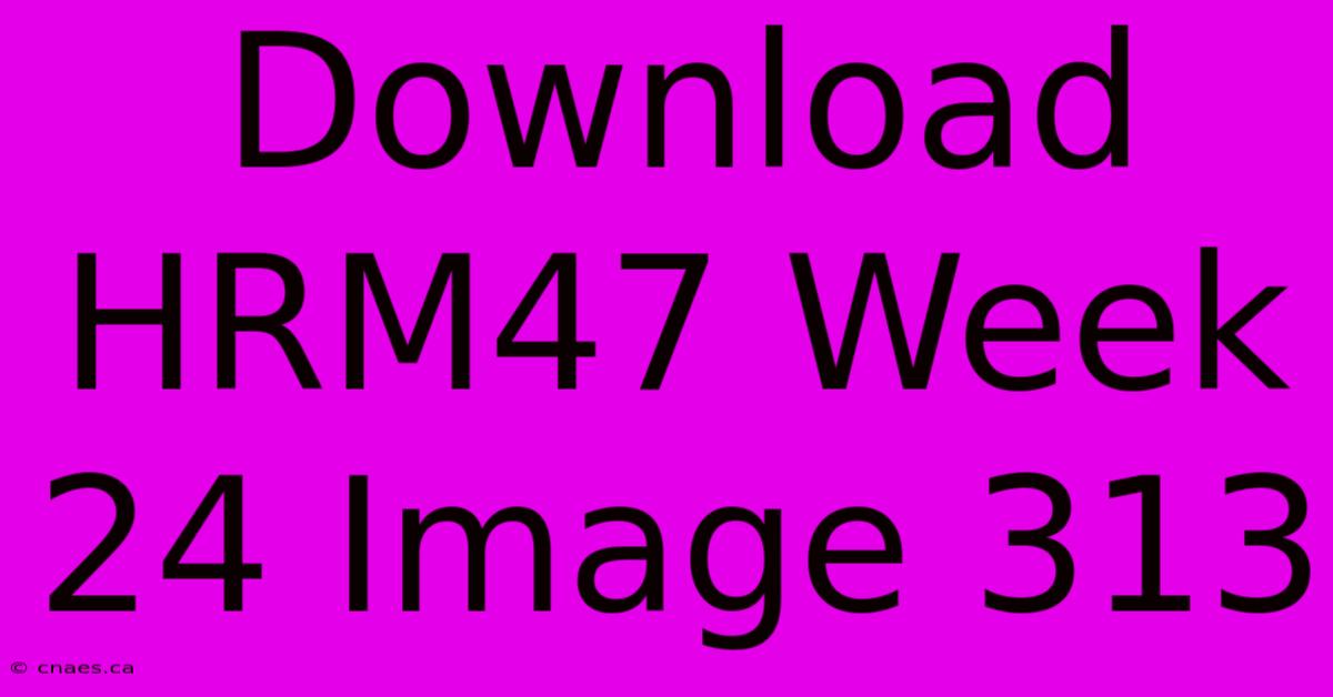 Download HRM47 Week 24 Image 313 