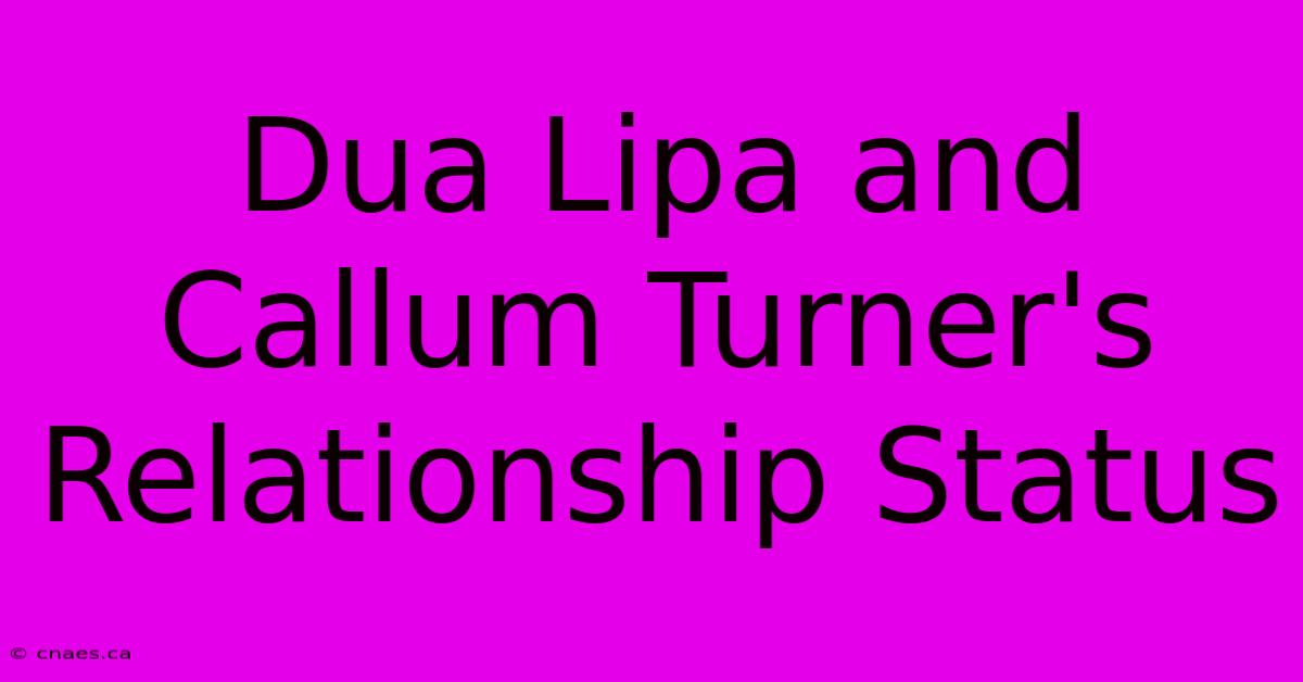 Dua Lipa And Callum Turner's Relationship Status