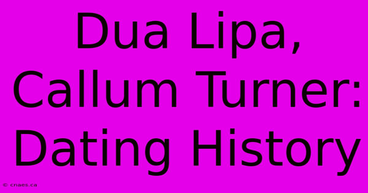 Dua Lipa, Callum Turner: Dating History