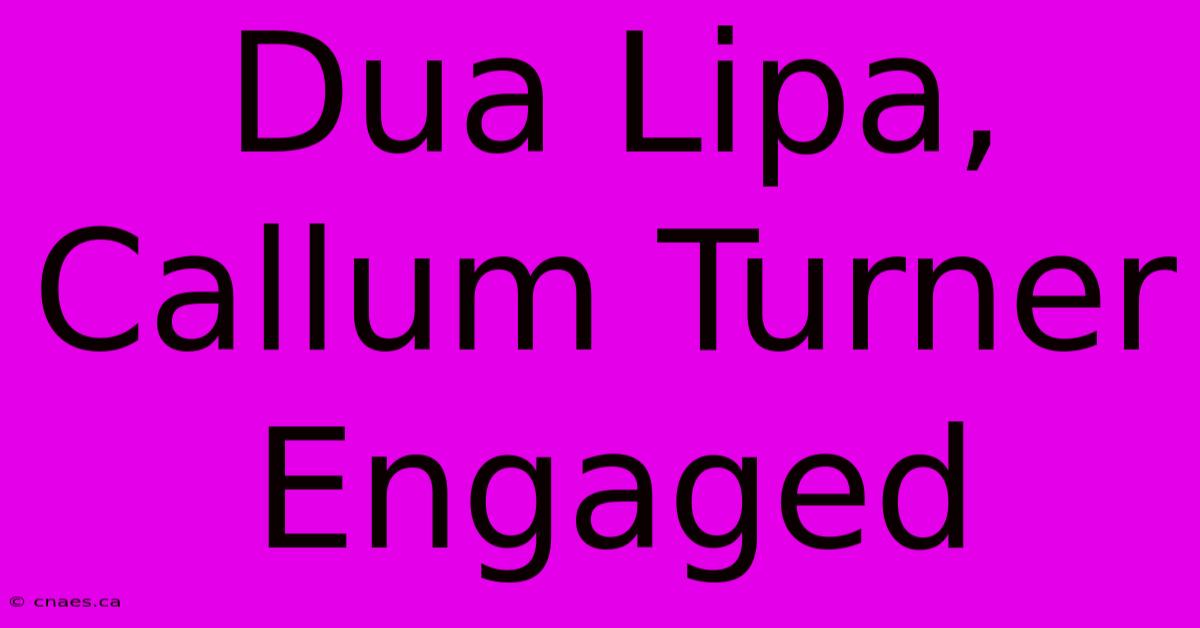 Dua Lipa, Callum Turner Engaged