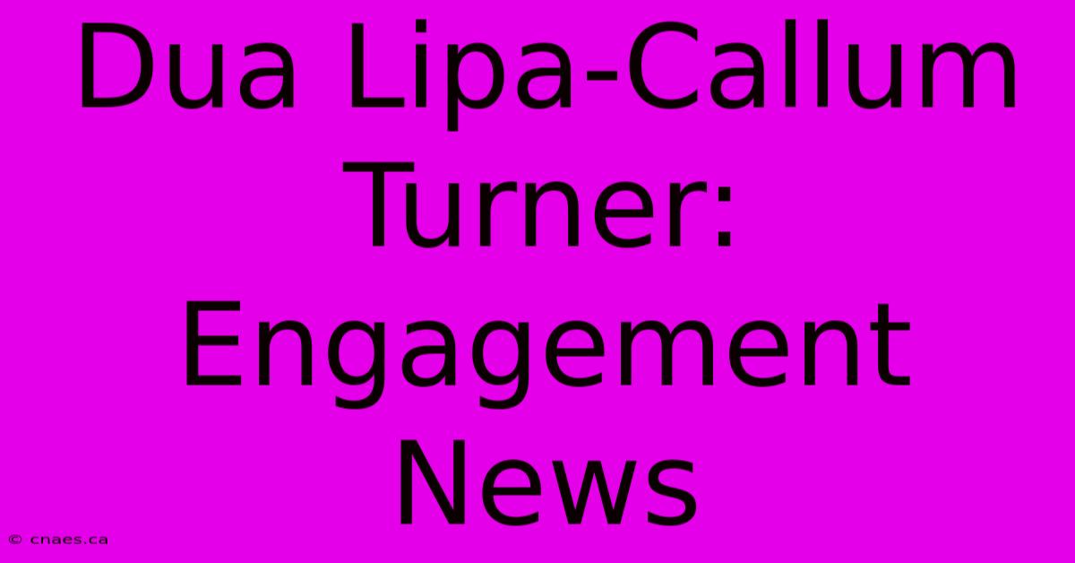 Dua Lipa-Callum Turner: Engagement News