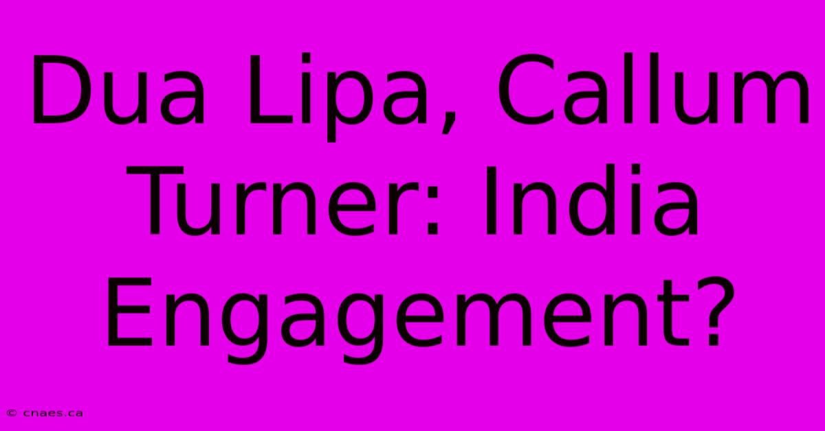 Dua Lipa, Callum Turner: India Engagement?