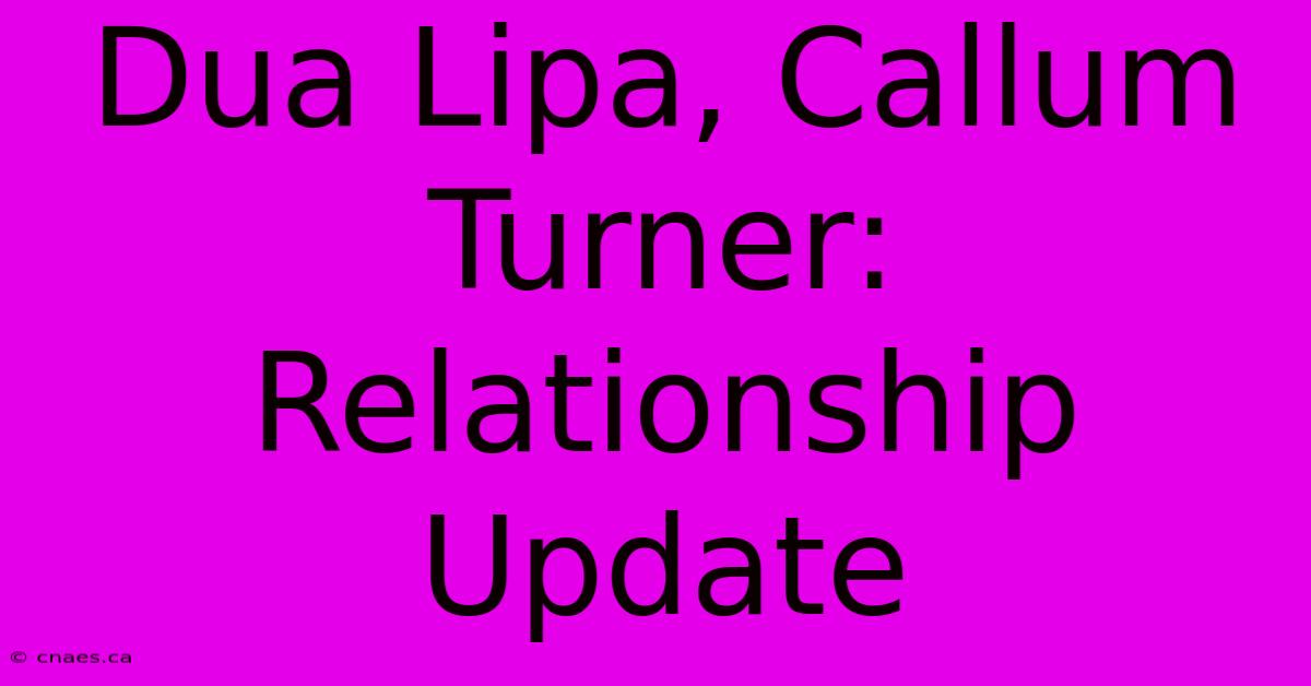 Dua Lipa, Callum Turner: Relationship Update