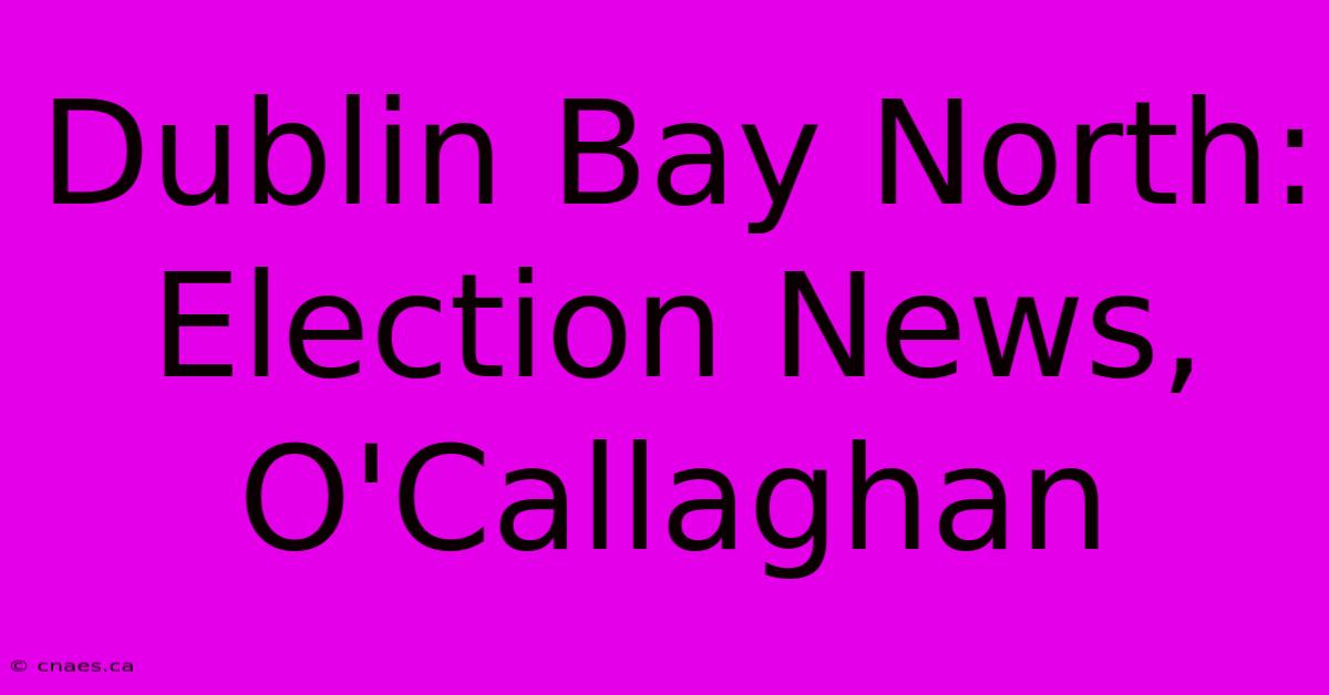 Dublin Bay North: Election News, O'Callaghan