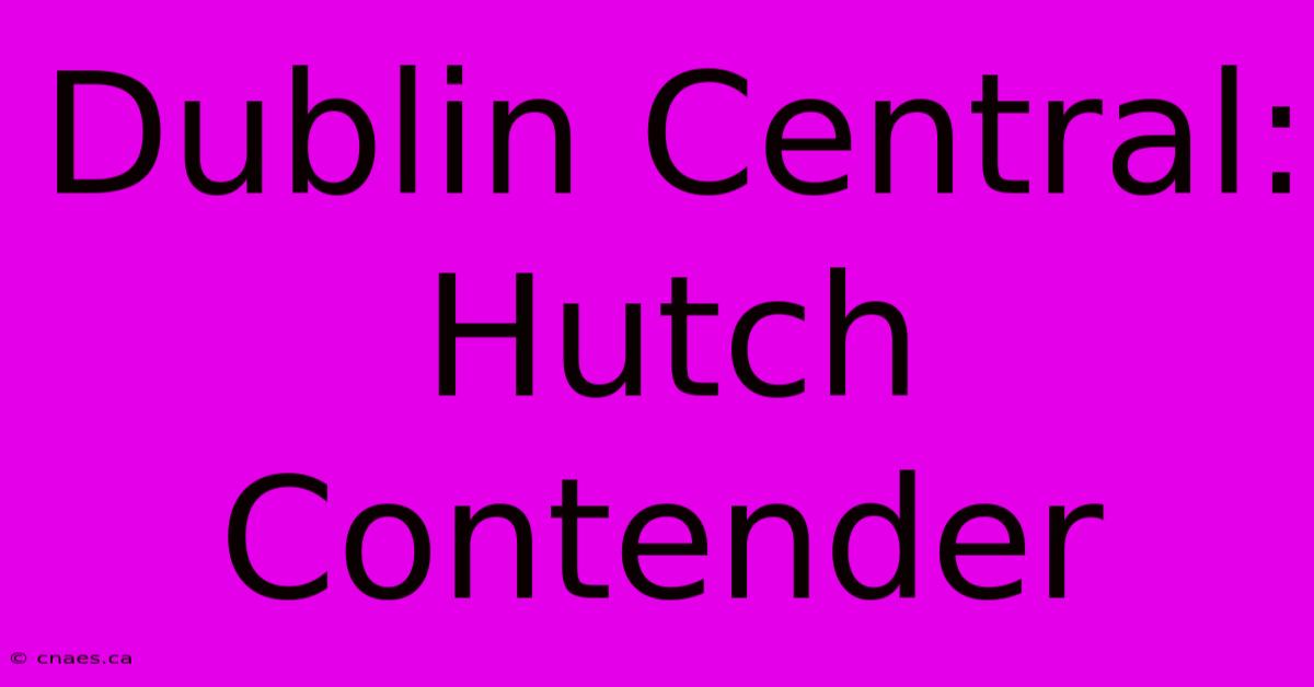 Dublin Central: Hutch Contender