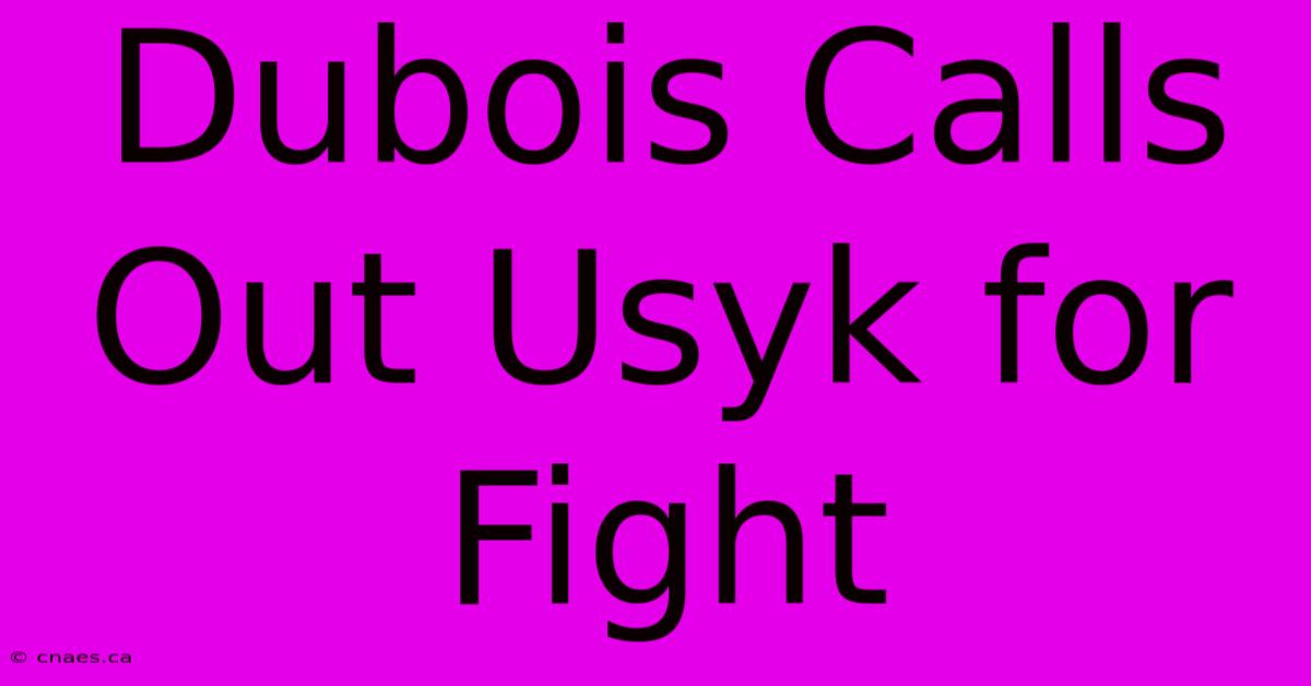 Dubois Calls Out Usyk For Fight