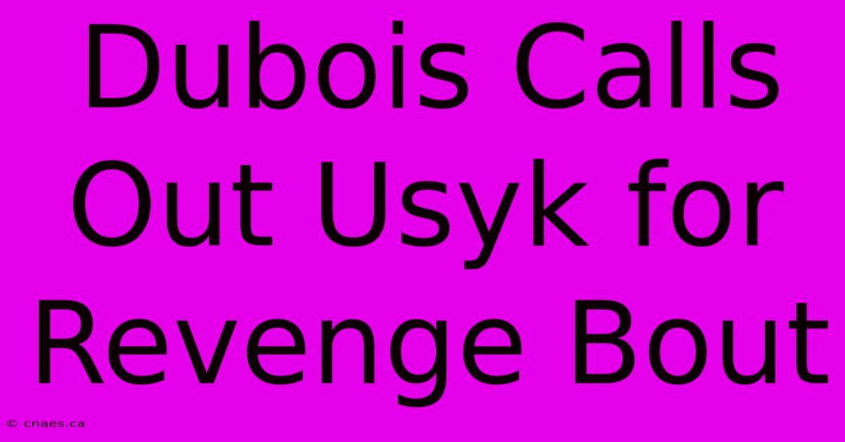 Dubois Calls Out Usyk For Revenge Bout