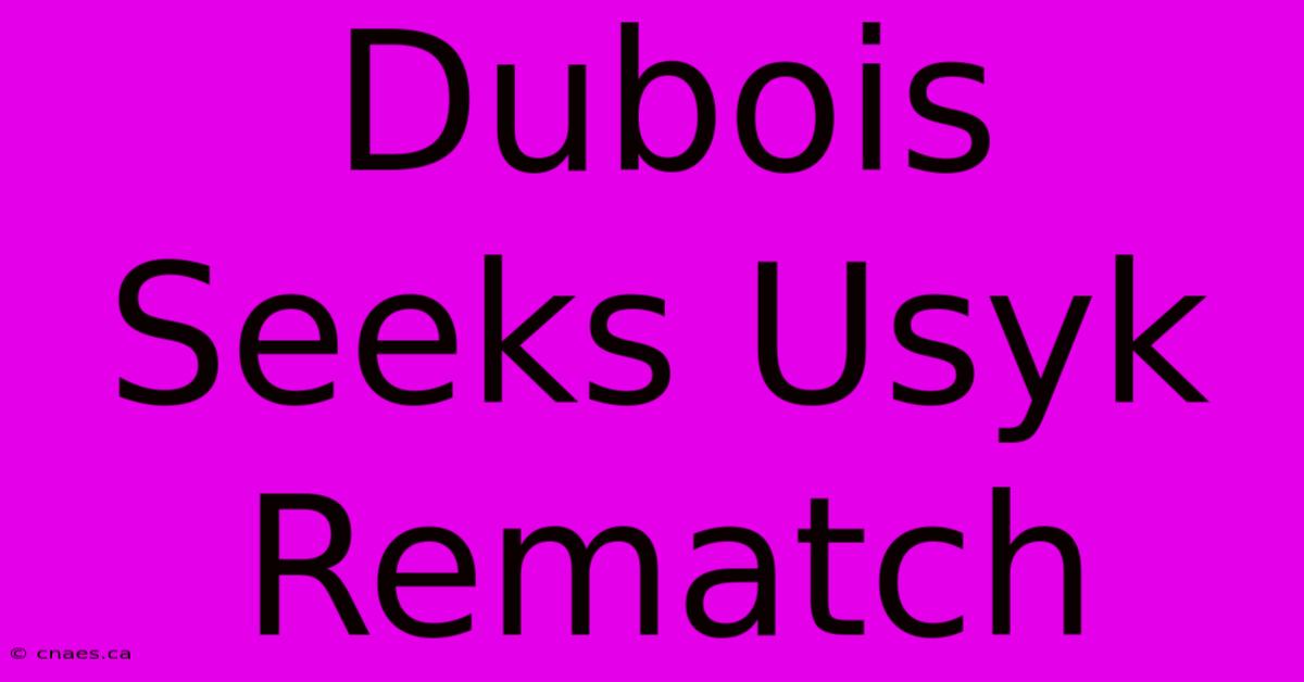 Dubois Seeks Usyk Rematch