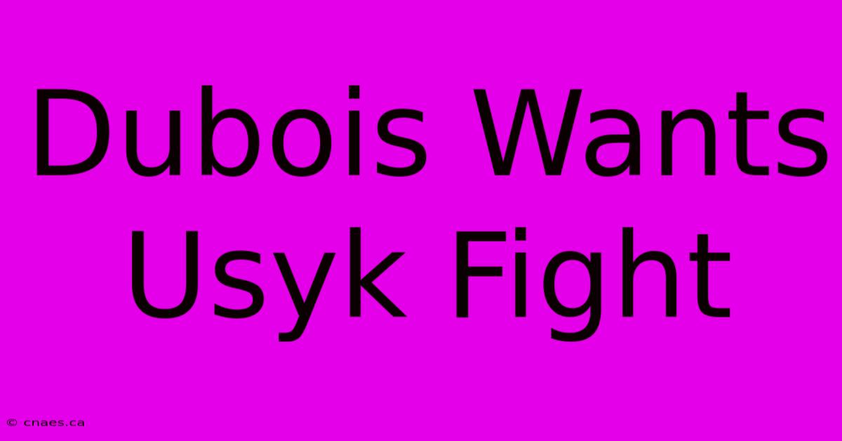 Dubois Wants Usyk Fight