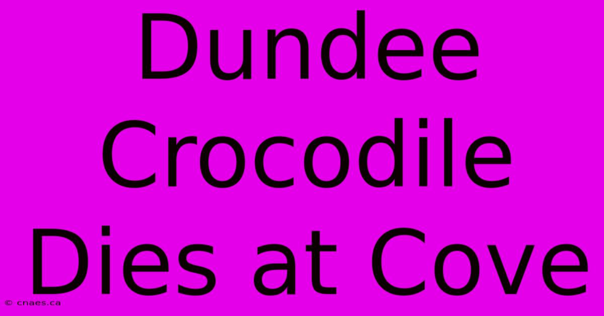 Dundee Crocodile Dies At Cove