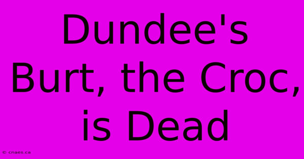 Dundee's Burt, The Croc, Is Dead