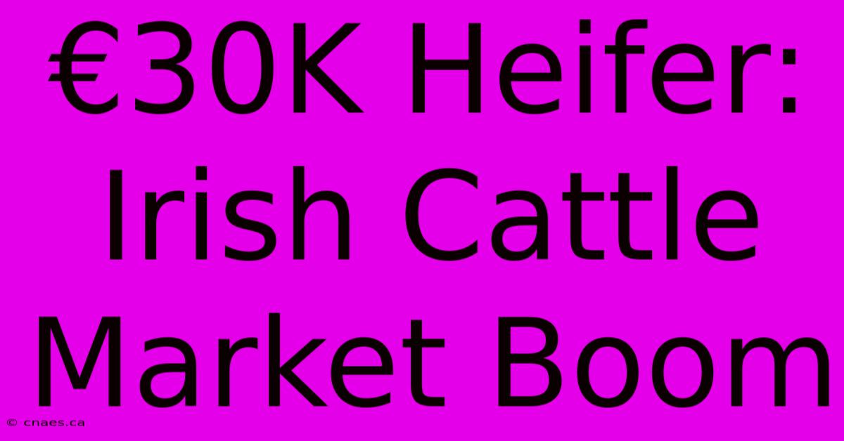 €30K Heifer: Irish Cattle Market Boom