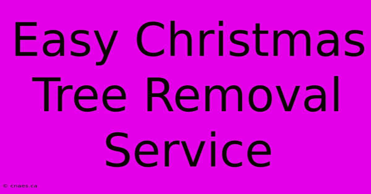 Easy Christmas Tree Removal Service