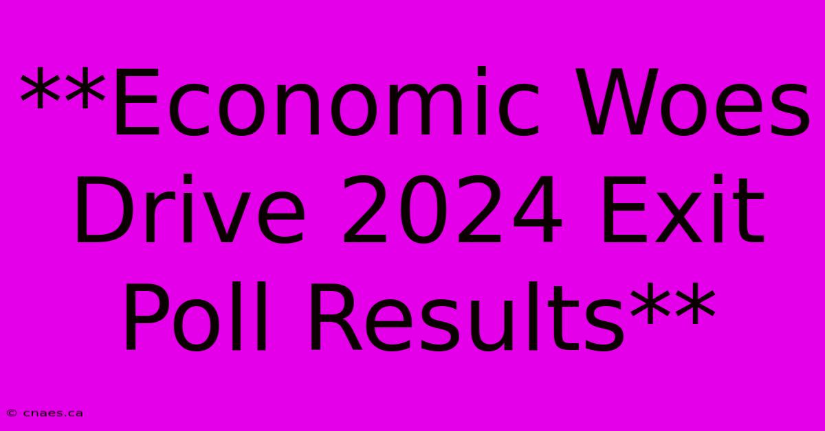 **Economic Woes Drive 2024 Exit Poll Results**