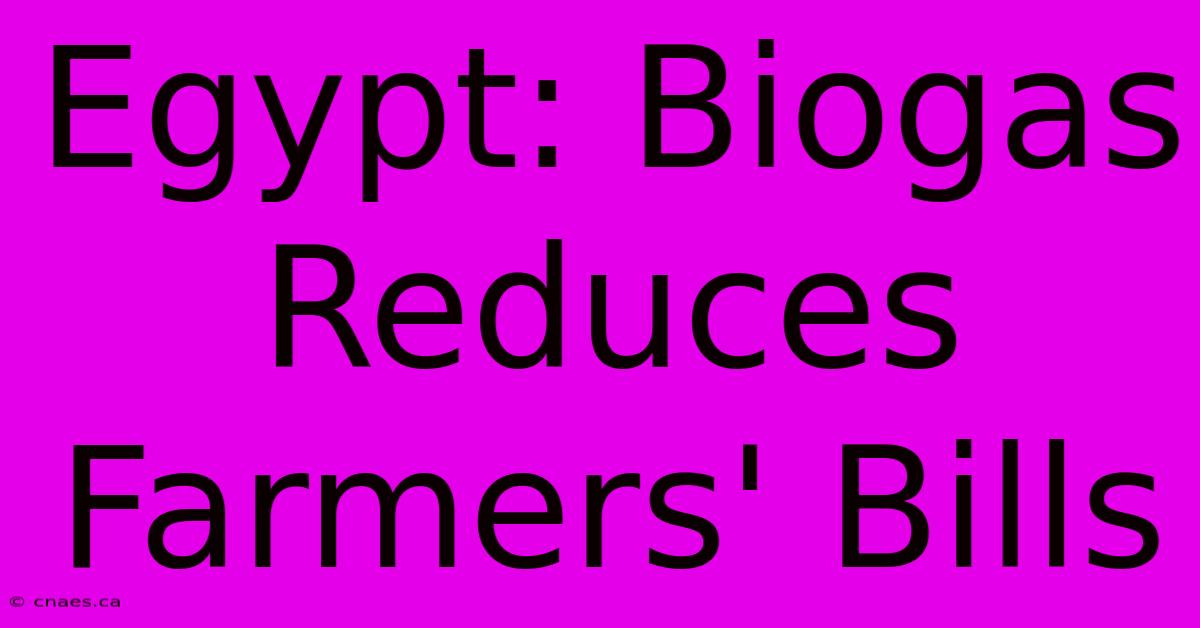 Egypt: Biogas Reduces Farmers' Bills