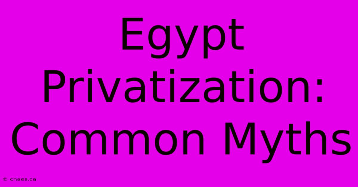 Egypt Privatization: Common Myths