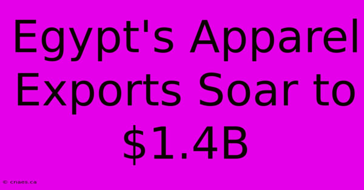 Egypt's Apparel Exports Soar To $1.4B