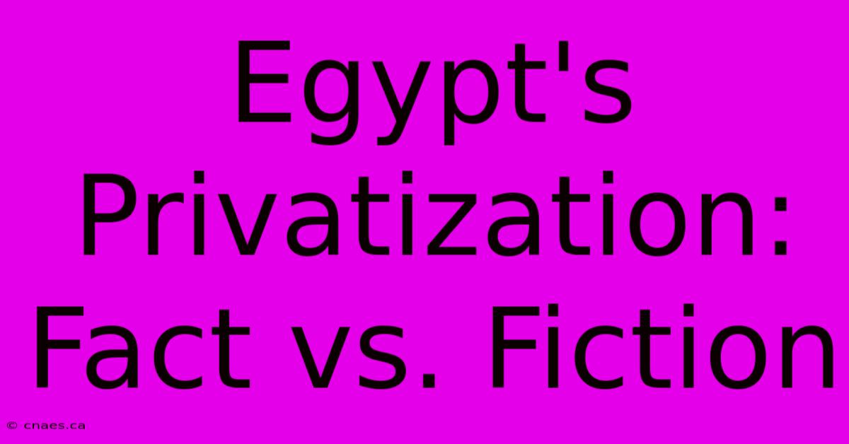 Egypt's Privatization: Fact Vs. Fiction