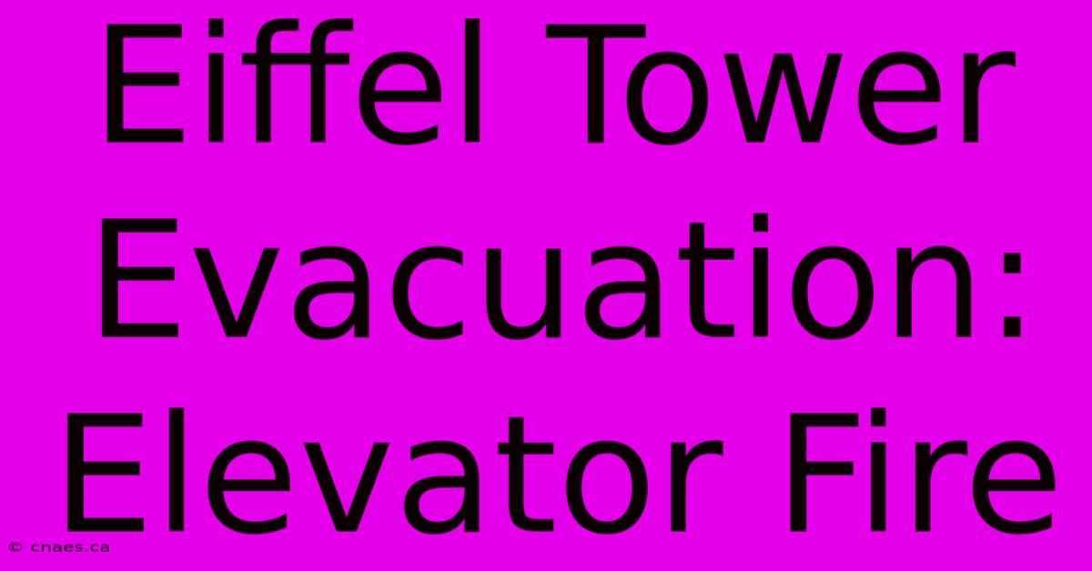 Eiffel Tower Evacuation: Elevator Fire