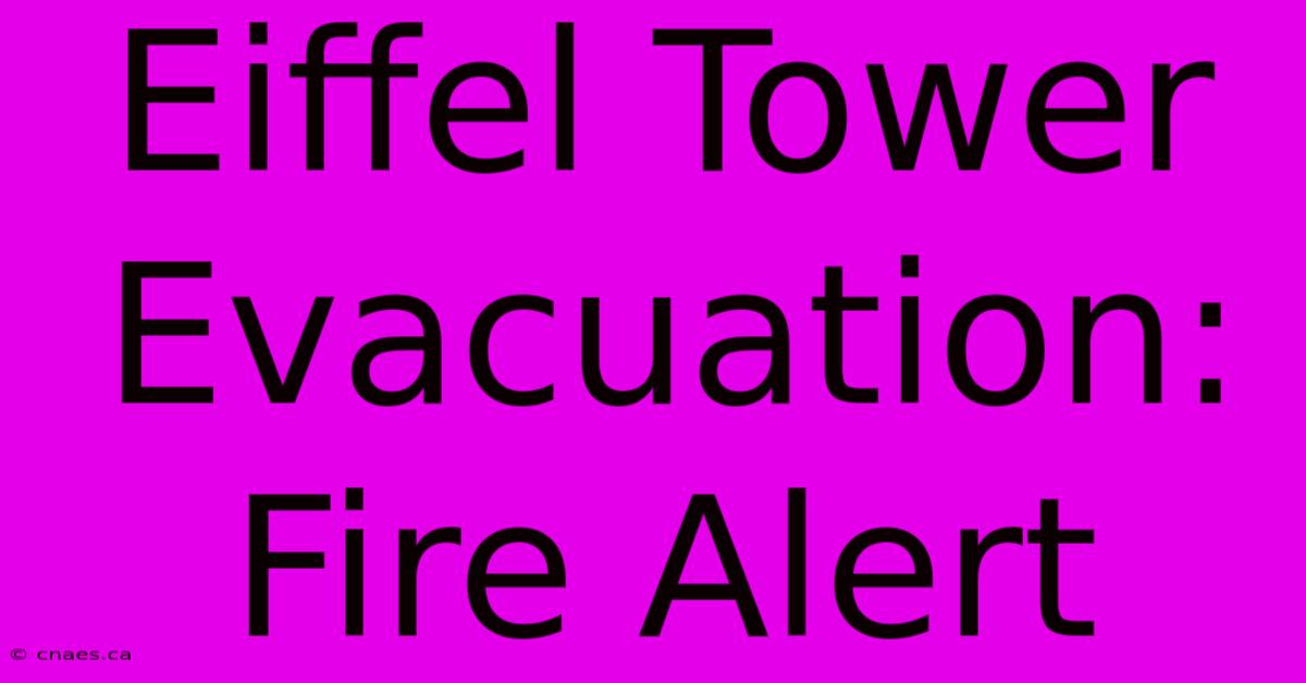 Eiffel Tower Evacuation: Fire Alert