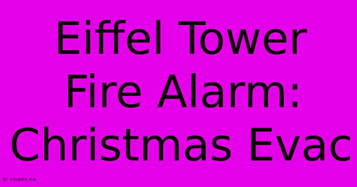 Eiffel Tower Fire Alarm: Christmas Evac