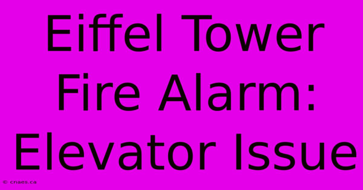 Eiffel Tower Fire Alarm: Elevator Issue