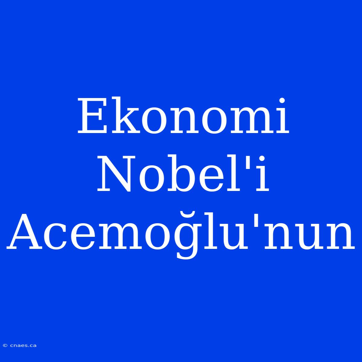 Ekonomi Nobel'i Acemoğlu'nun