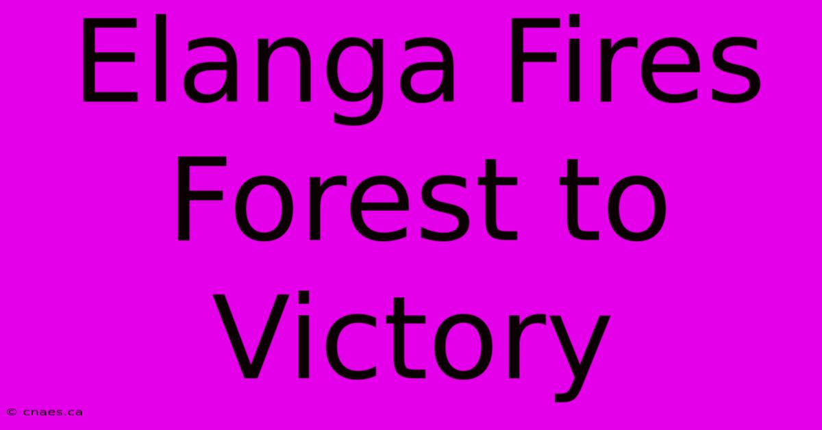 Elanga Fires Forest To Victory