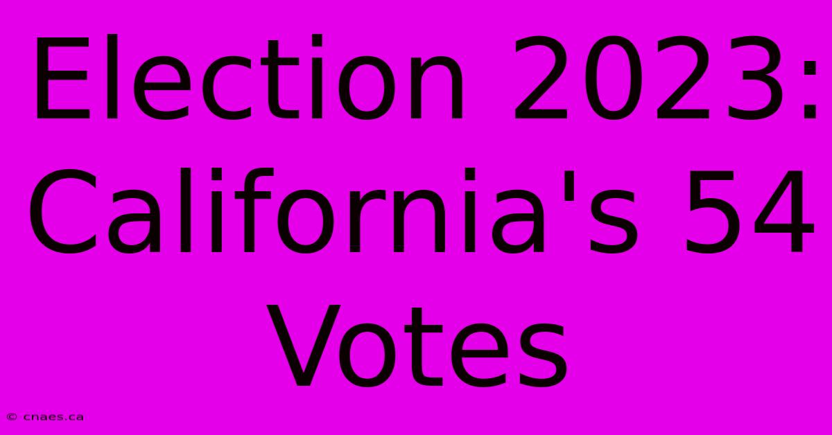 Election 2023: California's 54 Votes