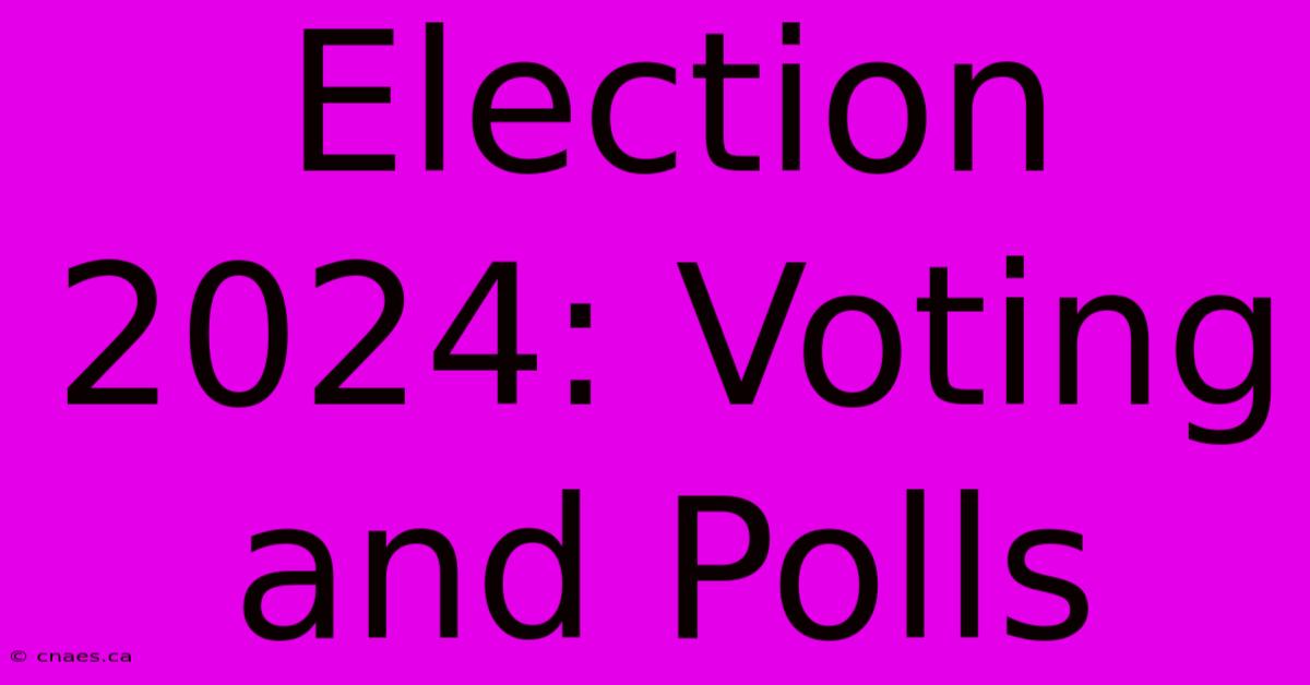 Election 2024: Voting And Polls