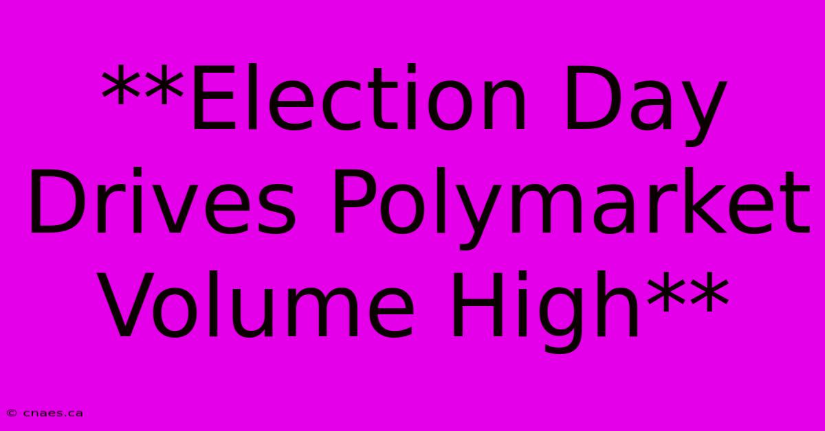 **Election Day Drives Polymarket Volume High** 