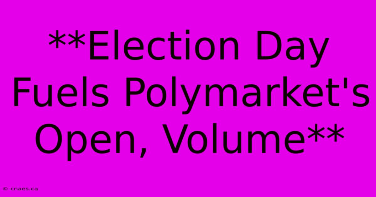 **Election Day Fuels Polymarket's Open, Volume**