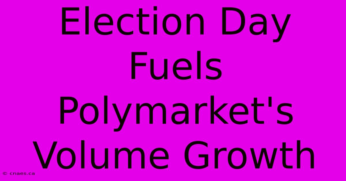 Election Day Fuels Polymarket's Volume Growth