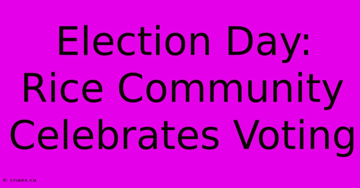 Election Day: Rice Community Celebrates Voting