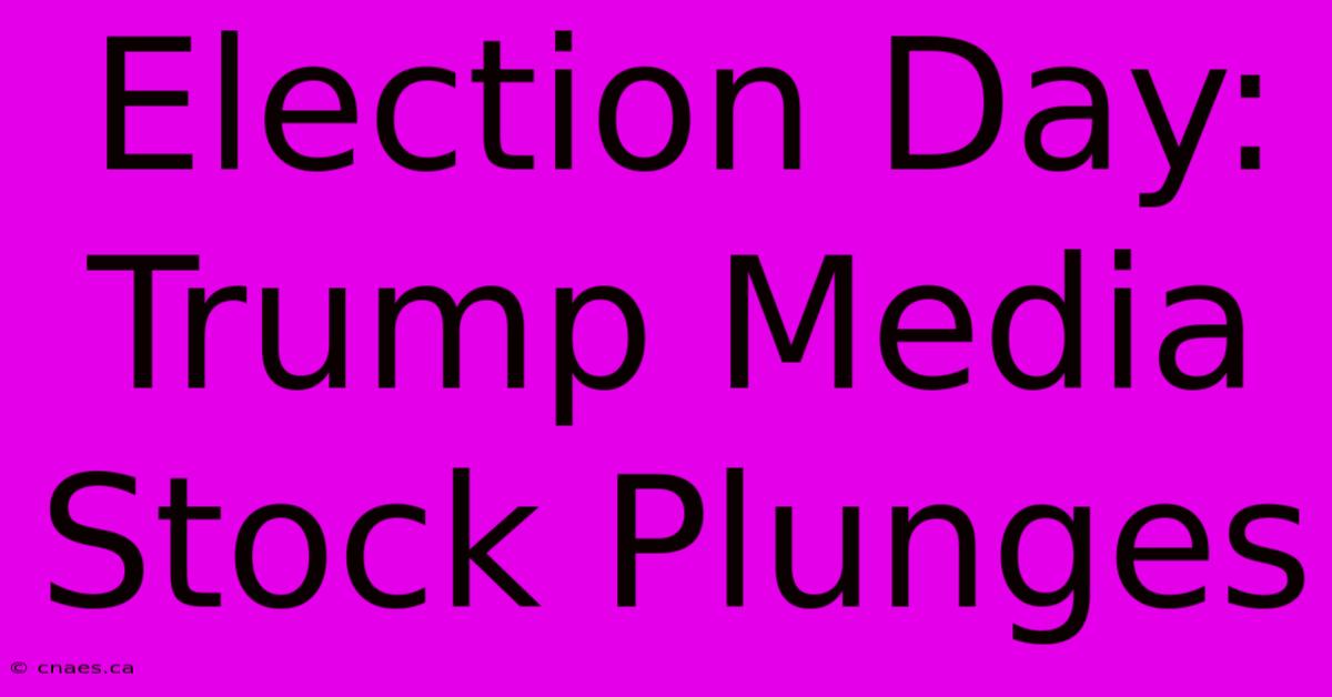 Election Day: Trump Media Stock Plunges