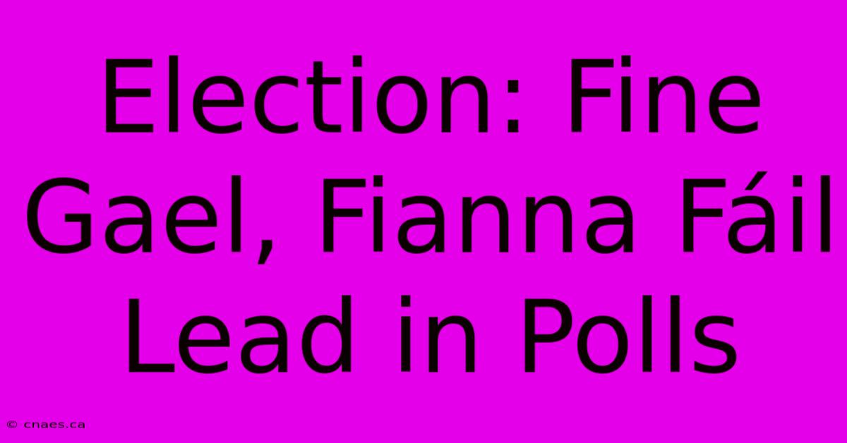 Election: Fine Gael, Fianna Fáil Lead In Polls 